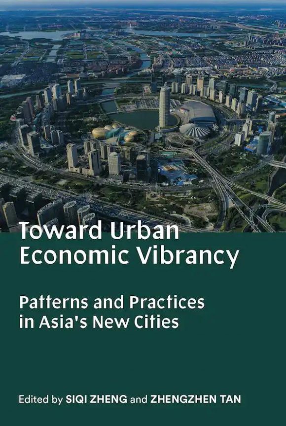 toward urban economic vibrancy book cover