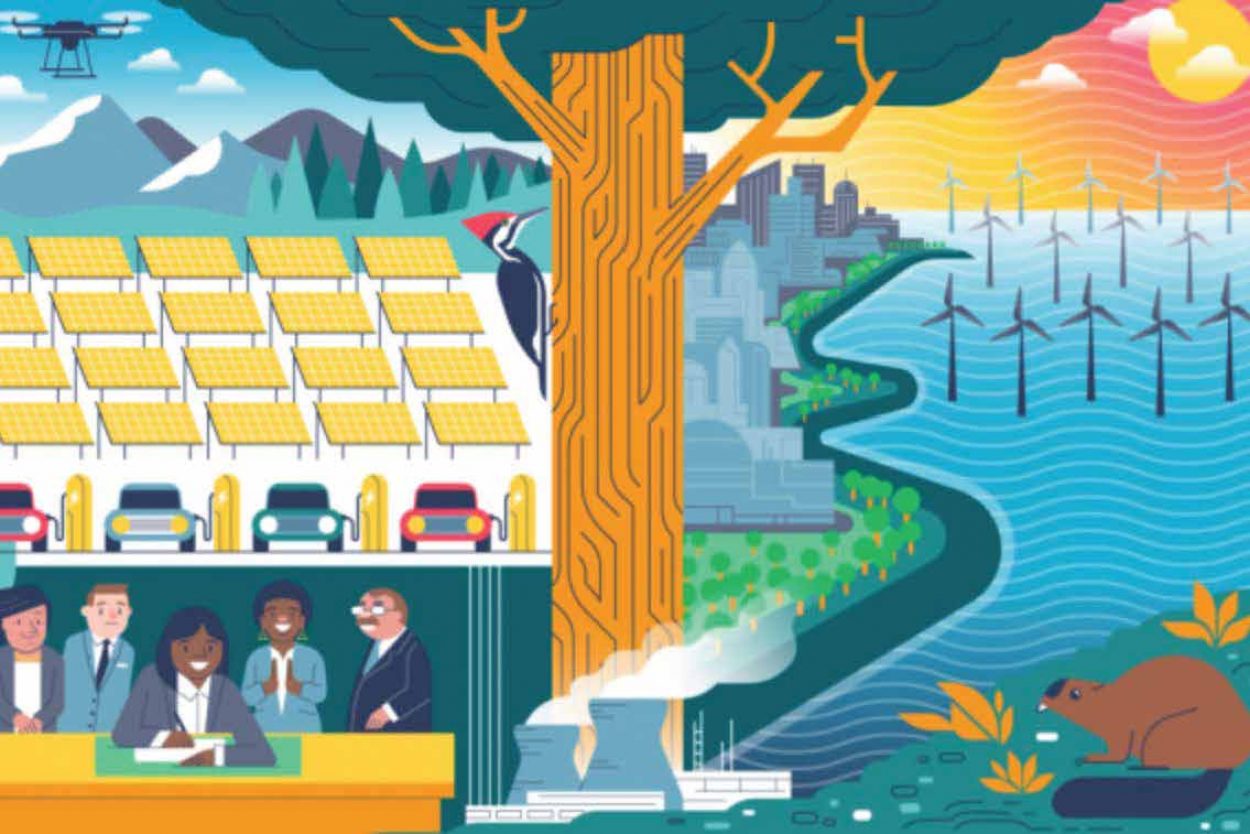 graphic illustration of solar panels, electric cars, old-growth trees, wind farms